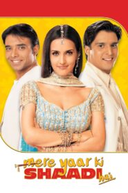 Mere Yaar Ki Shaadi Hai (2002) Hindi HD BluRay 480p, 720p & 1080p | GDrive