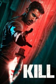 Kill (2024) Hindi HD WEB-DL 480p, 720p & 1080p | GDrive