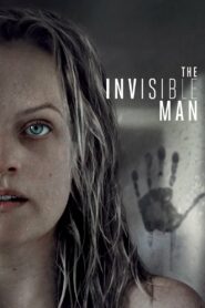 The Invisible Man (2020) Dual Audio [Hindi ORG & English] BluRay 480p, 720p & 1080p | GDRive