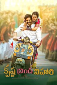 Krishna Vrinda Vihari (2022) Dual Audio [Hindi ORG & Telugu] WEB-DL 480p, 720p & 1080p | GDRive