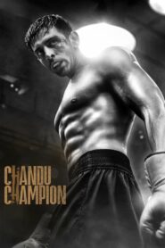 Chandu Champion (2024) Hindi HD WEB-DL 480p, 720p & 1080p | GDrive