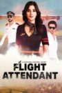 Flight Attendant – Season 1 [Hindi ORG] WEB-DL HEVC 480p, 720p & 1080p | [Complete]