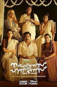 Nagendrans HoneyMoons – Season 1 Dual Audio [Hindi ORG & Malayalam] WEB-DL HEVC 480p, 720p & 1080p | [Complete]