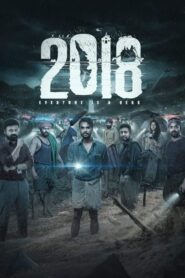 2018 (2023) Dual Audio [Hindi ORG & Malayalam] WEB-DL 480p, 720p & 1080p | GDRive