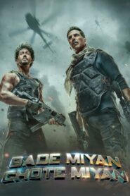 Bade Miyan Chote Miyan (2024) Hindi HD WEB-DL 480p, 720p & 1080p | GDrive