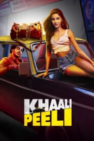 Khaali Peeli (2020) Hindi HD WEB-DL 480p, 720p & 1080p | GDrive