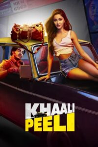 Khaali Peeli (2020) Hindi HD WEB-DL 480p, 720p & 1080p | GDrive