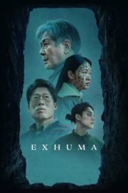 Exhuma (2024) Dual Audio [Hindi ORG & Korean] BluRay 480p, 720p & 1080p | GDRive