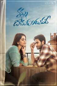 Nannu Dochukunduvate (2018) Dual Audio [Hindi ORG & Telugu] WEB-DL 480p, 720p & 1080p | GDRive