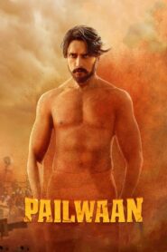 Pailwaan (2019) Dual Audio [Hindi ORG & Kannada] WEB-DL 480p, 720p & 1080p | GDRive