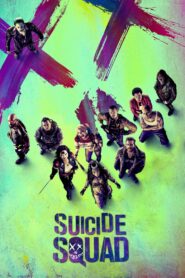 Suicide Squad (2016) EXTENDED Dual Audio [Hindi ORG & ENG] BluRay 480p, 720p & 1080p | GDRive