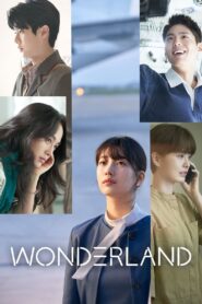 WonderLand (2024) Dual Audio [Hindi ORG & Korean] WEB-DL 480p, 720p & 1080p | GDRive