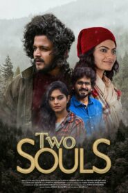 Two Souls (2023) Dual Audio [Hindi ORG & Telugu] WEB-DL 480p, 720p & 1080p | GDRive