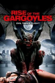 Rise Of The Gargoyles (2008) Dual Audio [Hindi ORG & ENG] BluRay 480p, 720p & 1080p | GDRive