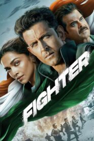 Fighter (2024) Hindi HD WEB-DL 480p, 720p & 1080p | GDrive